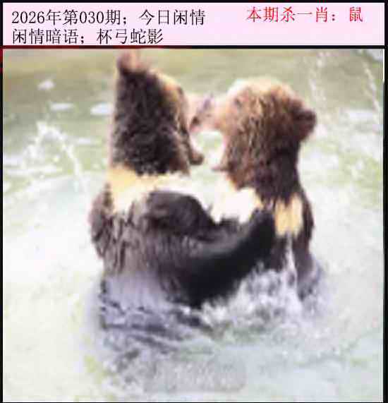 030期今日闲情[图]
