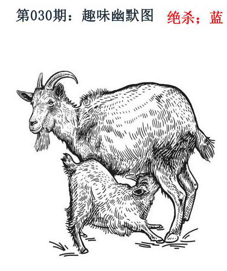 030期趣味幽默[图]