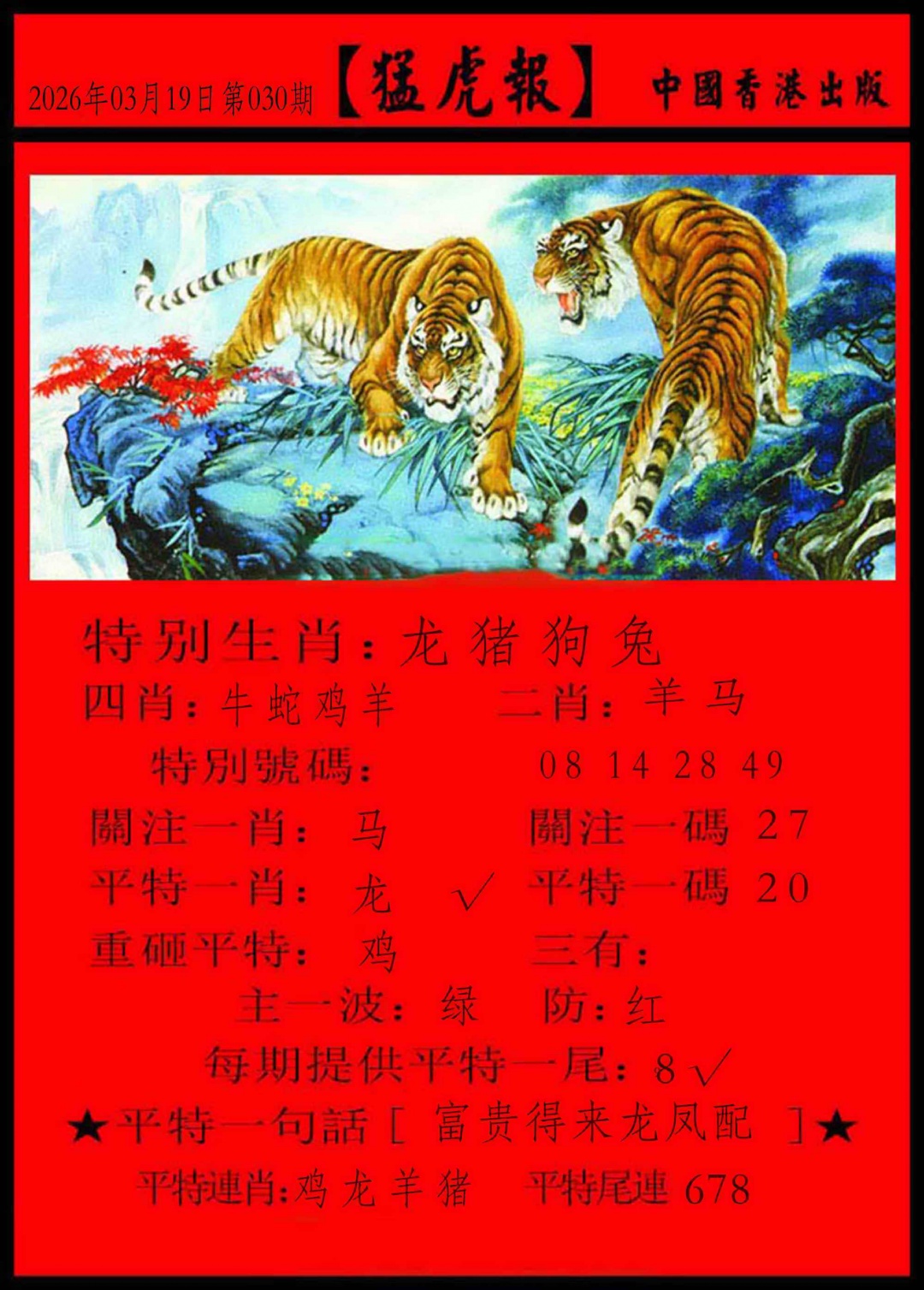 030期猛虎报[图]